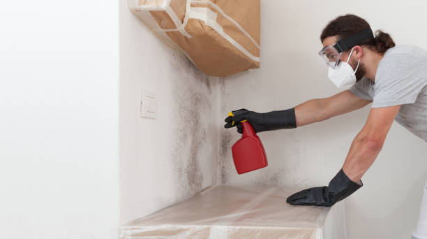 Professional Basement Mold Removal technician working in Yale, VA