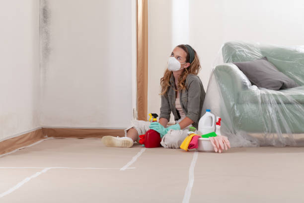 Reliable Basement Mold Removal contractor in Yale, VA by WQB Mold Removal